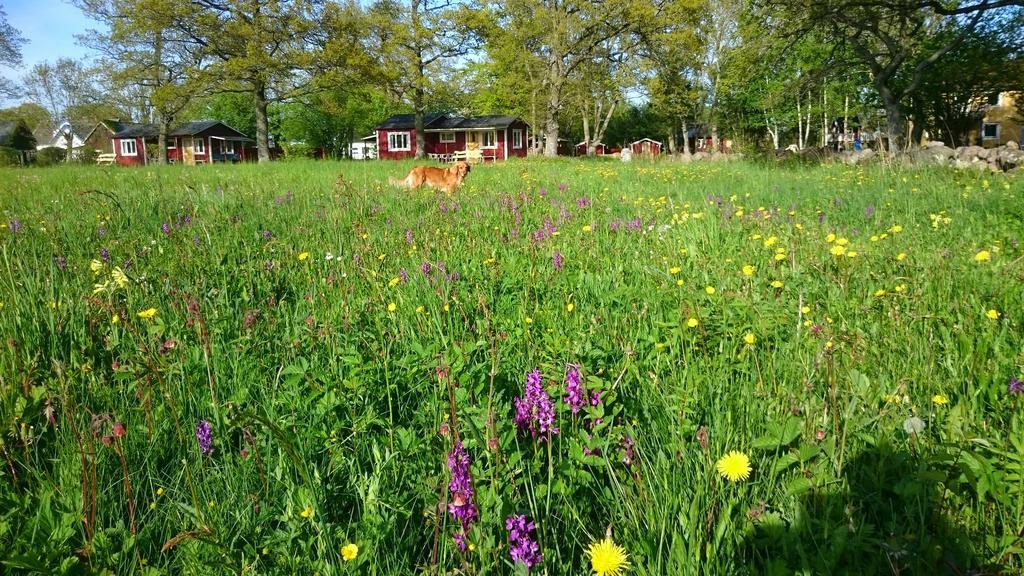 Stf Hagaby/Lantgarden Hostel Lottorp Exterior photo